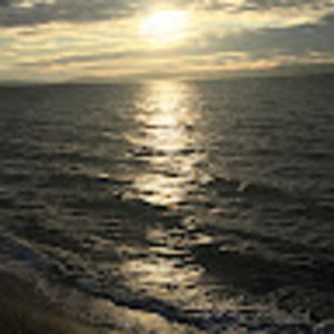 Meet your Posher, Rashel